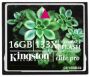   Kingston Compact Flash 16Gb Elite Pro, 133x (CF/16GB-S2)