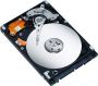   Seagate 160Gb, (ST9160314AS)