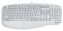  Клавиатура A4Tech KL-30 USB White