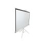    Elite Screens 119 
