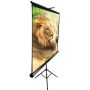    Elite Screens 120 