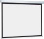    Projecta ProScreen 2.13. x 2.8. 