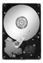   Seagate 500Gb,(ST3500410AS)